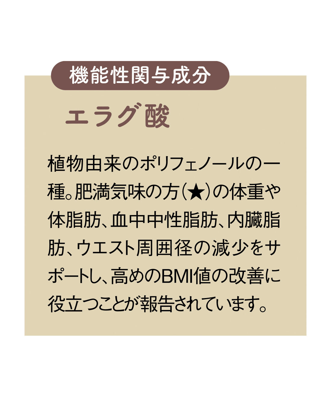 FELISSIMO PARTNERS|肥満気味の方（★）のおいしい1杯 しまのや スリムストン紅茶 アッサムブレンド〈機能性表示食品〉の会（6回予約）