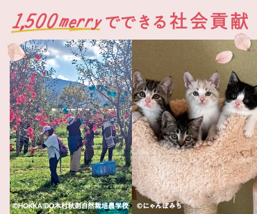 1,500merryでできる社会貢献